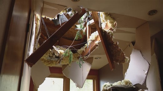 Thousands without power in Olympia following overnight windstorm