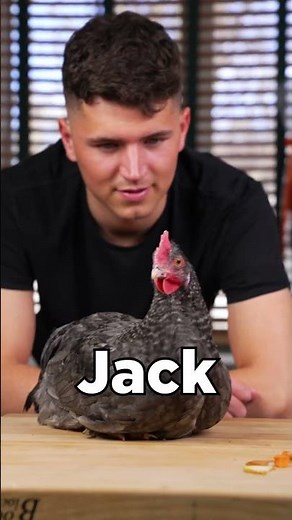 3 Levels of Chicken Nuggets