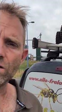 Wasp and Hornet Nest Removal in Beaumont-de-Lomagne (82). ALLO FRELONS