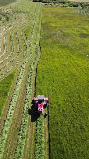 I’m currently rained out so I have a minute to be able to put up a post!The haying is coming along at the ranch. Depending on what rain we get, hopefully we’ll be done in about a week and a half. Luckily the swather has gps so I can get a little drone footage while I go along! | Rancher Ryan