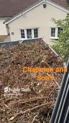 All aspects of Tree and Gardening services Trees loped, pruned or felled Over grown gardens cleared General garden tidy ups Hedge shaped pruned or removed Jet washing services Shingle , Turf Fencing Patios Free no obligation quote Fully insured Fully equipped Friendly and reliable 01923 673501 or 0771 3557646 http://checkatrade.co.uk/chapmanandsons WWW.CHAPMANANDSONS.COM | Pete Chapman