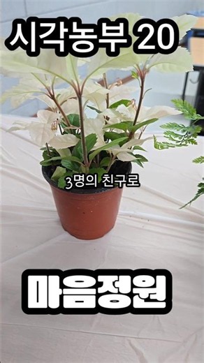 #도전 #농부#초보농부 #치유 #정원 #만들기 #프로그램 #healing #gardening #farmer #치유농업 #care #farming #greencare #정원만들기