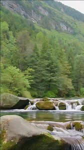 Peaceful River Sounds for Stress Relief #relax #relaxingsounds #nature #birdsong #riversounds