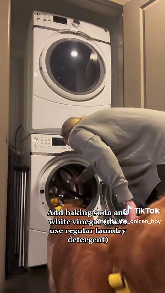 Cleaning Dog Toys with Baking Soda and Vinegar