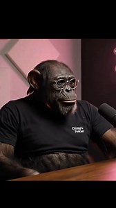 224K views · 8.8K reactions | Create viral chimp-style AI videos fast!  Use FlashLoop for quick edits  https://www.flashloop.app/?ref=G2NSBK Learn the full method here  https://zithamania.gumroad.com/l/xiuqhc #ai #aivideo #viralvideos #contentcreator #flashloop | Immanuel Zitha | Facebook
