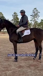 Introducing Banks | For the final part of our first cross-country schooling with #RemiTheOTTB, we introduce down and up banks. Next up: we’ll share videos from Remi’s schooling show before he tackles his first event! | Boyd Martin