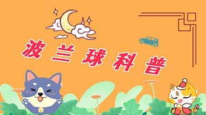波兰球科普_【波兰球动画】盘点各国的世界第一