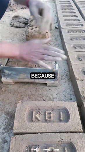 Surviving the Fall: A Thrilling Skydiving Story