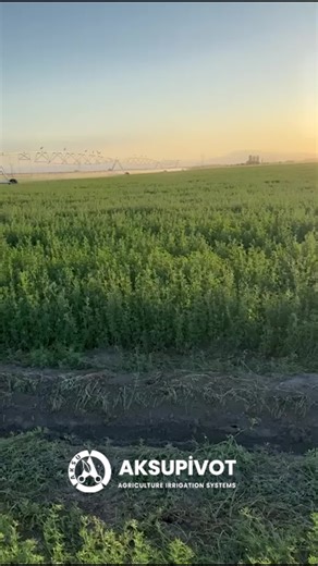 Aksupivot Linear Irrigation System Explained