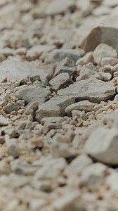 What’s something you’ve always wanted to experience? | ROSE Bikes