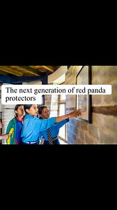 1K views · 40 reactions | Red Panda Network on Reels | Facebook