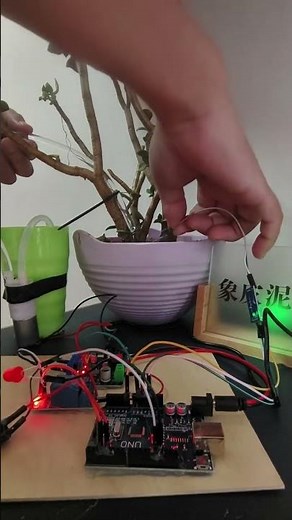 Arduino Smart Plant Watering System: Automatic Irrigation to Keep Your Plants Thriving