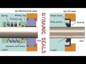 Dynamic Seal | Dynamic Seal Types | Dynamic Seal Classifications | Mechanical Technician Skills