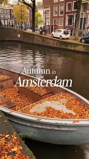 🚲 Amsterdam Fall Aesthetic – Relaxing Autumn City Vibes #shorts