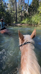 Find me here all summer 🌺 | My Horse Willow