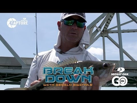 Table Rock Lake • Break Down