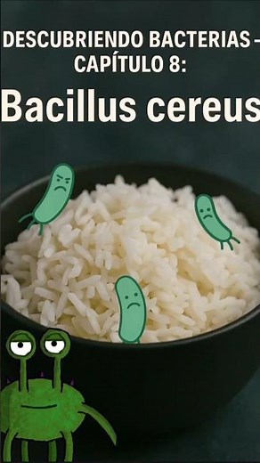 Descubriendo bacterias - Capítulo 8: Bacillus cereus🦠🍚