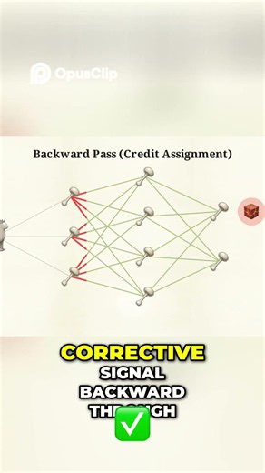 AI Credit Assignment: How Neural Networks Learn