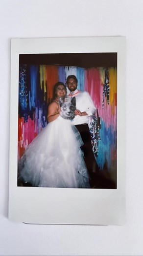 Our DIY wedding photo backdrop made with garden fencing and plastic tablecloths!✂️ A huge labor of love but worth it! #diyproject #weddingtiktok #diy