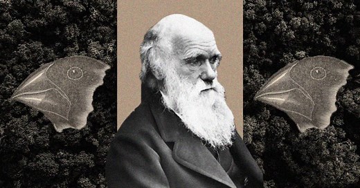 Os tentilhões de Charles Darwin: uma lenda que surgiu sem querer
