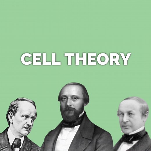 Understanding Cell Theory in Simple Terms