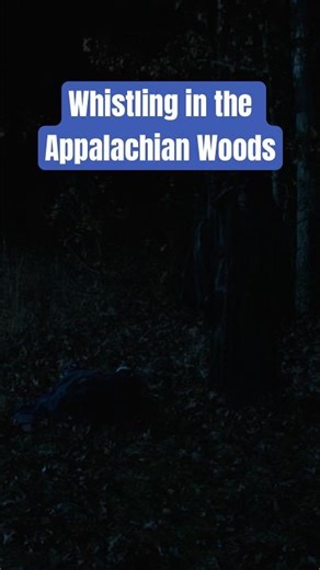Never whistle in the Appalachia #nativeamerican #horror #appalachia #folklore #folkhorror #cryptids