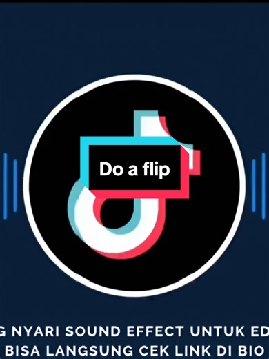 Do a Flip Sound Effects for Memes