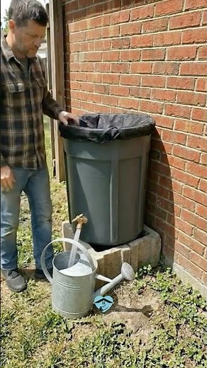 Easy Way to Collect Rainwater for Your Garden
