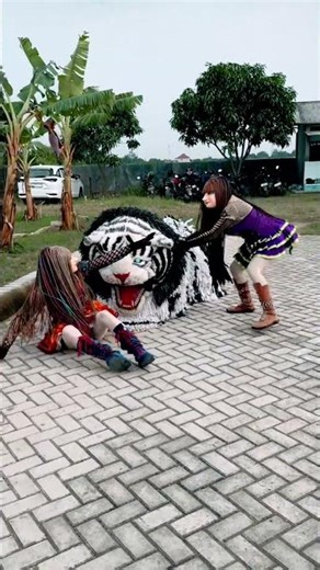Kawan beti dimakan can macanan