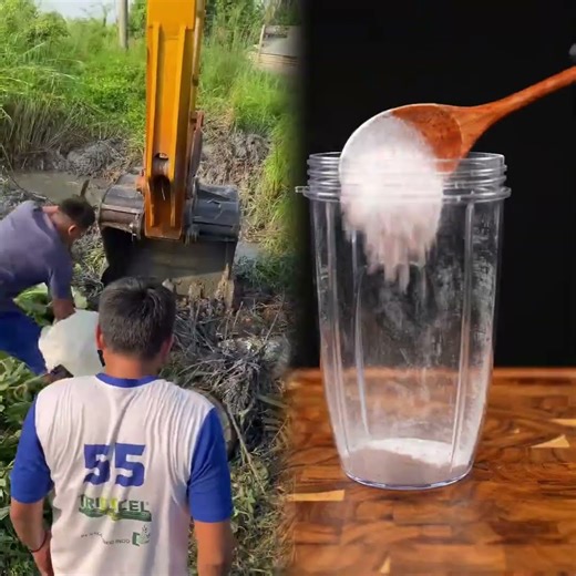 THERE'S A PYTHON IN FRONT OF THE HOUSE #minivlog #entertainmentshorts #villagechildren #vlog