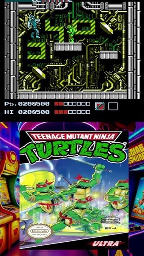 Easy Shredder fight with Donatello (TMNT NES)