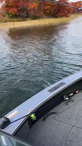 Fall bass fishing is winding down here in Central Minnesota as the temps drop more and more each day! What’s your go-to bait for largemouth bass this time of year? | Lindner's Angling Edge