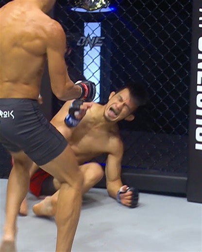 1.3M views · 9.3K reactions | Knockout MACHINE  Relive all of Fabricio Andrade's EXPLOSIVE wins in ONE, and tell us who he should defend his bantamweight MMA crown against next! | ONE Championship | Facebook