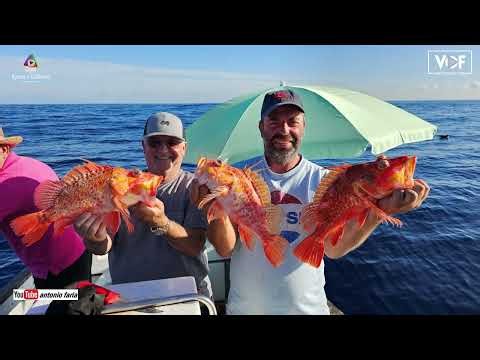 Pesca Artesanal o melhor peixe do Mundo nas Ilhas dos Açores