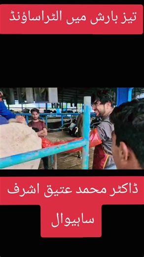 #ultrasound #dairy #forupage #dairyfree #fyp #dairyfarm #sahiwalian #punjab @Faisal Latif680