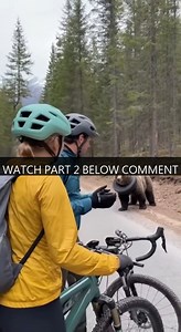 👉FULL VIDEO HERE: https://filmebdn.vansonnguyen.com/12539/30/ P3012012 We just wanted bike ride ended up saving bear tire stuck (Part 1) | Perfect Movie