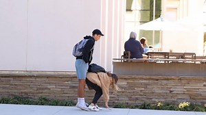 95K views · 481 reactions | BENDING OVER IN FRONT OF PEOPLE!! | The Daily Dropout | Facebook