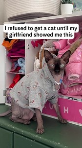 Switch to smarter, more convenient cat litter and get 20% off plus a FREE toy. | PrettyLitter