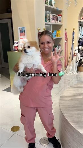 Andis Grooming on Instagram: "Grooming time, best time. Sabrina (@sudswithsabri) shares her go-to Andis clipper. What's yours?"