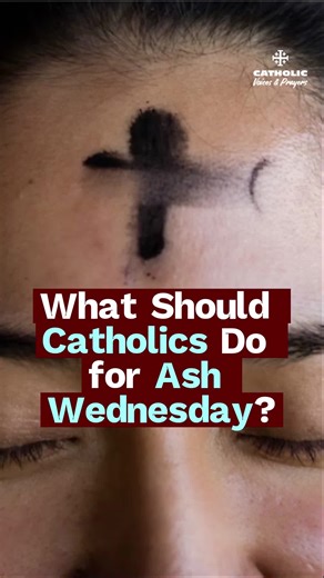 Ash Wednesday begins Lent — but what are Catholics actually required to do? This short explains fasting, abstinence, attending Mass, and how to begin Lent properly. Clear Catholic teaching rooted in Scripture and Tradition. Subscribe for daily faith content.