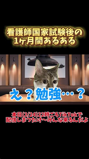 看護師国家試験後の1ヶ月に遊ぶべき理由