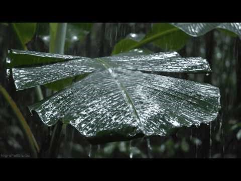 Heavy Tropical Rain on Banana Leaves 🌧️ Jungle Rain Sounds for Sleep