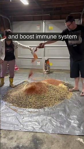 Crafting Chicken Feed: The Ultimate Recipe for Healthy, Happy Hens!