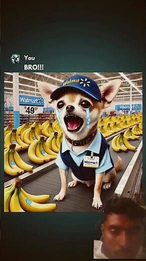 HOW MANY BANANAS DO YOU HAVE?!#memes