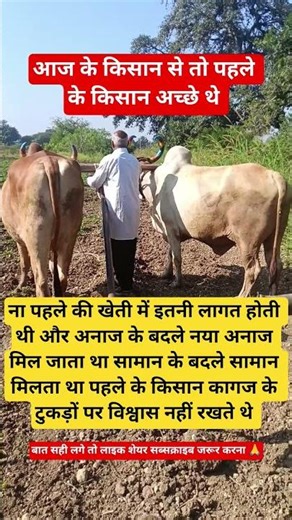 आज के किस से तो पहले के किसान अच्छे थे अनाज की जगह नया अनाज मिलता था