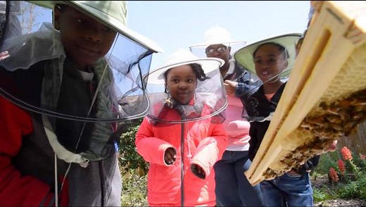 See what the buzz is all about! Book your Bee Garden Tour at Savannah Bee today. Email tours@savannahbee.com for more info or read about it on the blog http://savannahbee.com/blog/bee-garden-tours-savannah-bee/ | Savannah Bee Company