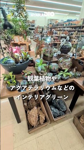 堅田店リニューアル