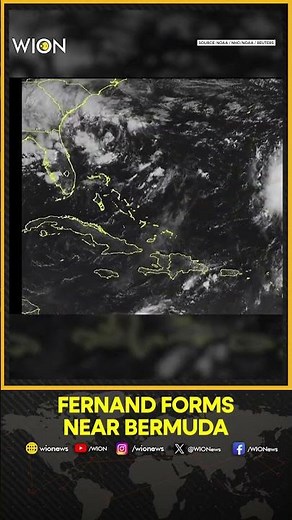 Tropical Storm Fernand Forms in Atlantic | Forcast to Stay at Sea | WION Shorts