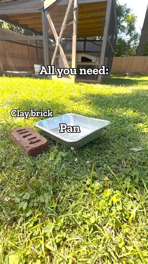 part 1 🐔☀️Coop’s heating up We've got a summer cool down hack for your flock. | Tractorsupply