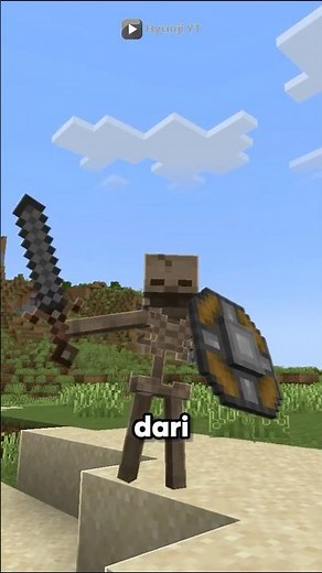 Skeleton Meme Di Minecraft!